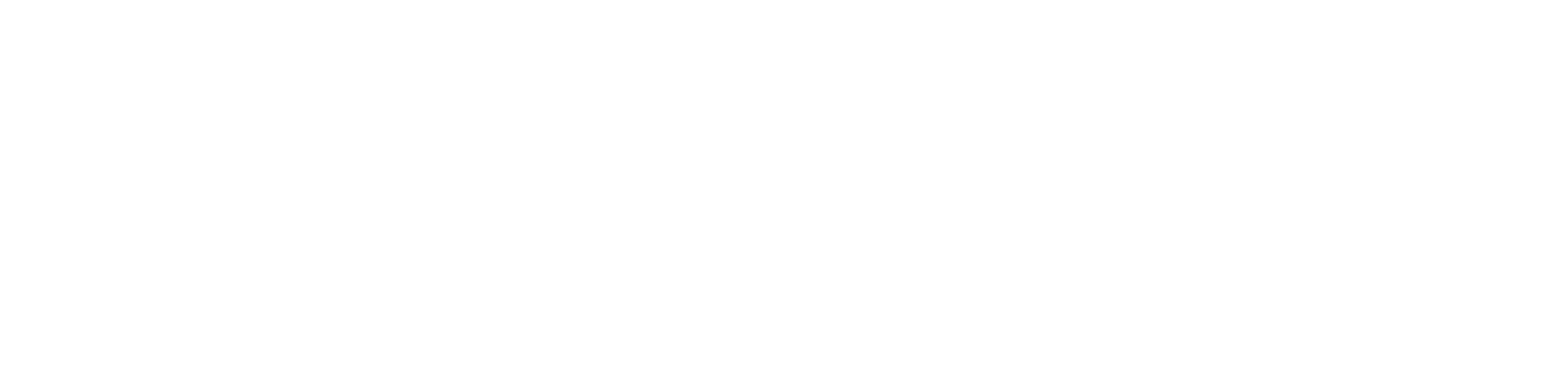 Logo blanc iPaidThat